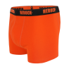 Boxer Gorik HEROCK